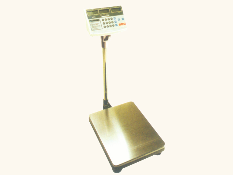 ATC、MTC系列電子計(jì)數(shù)秤